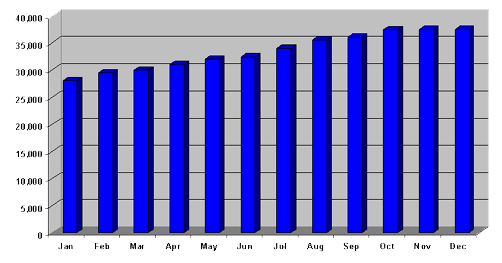 Unique visitors - statistics by month